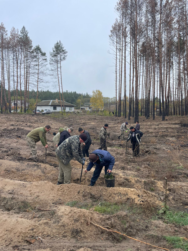 Працівники районної ради